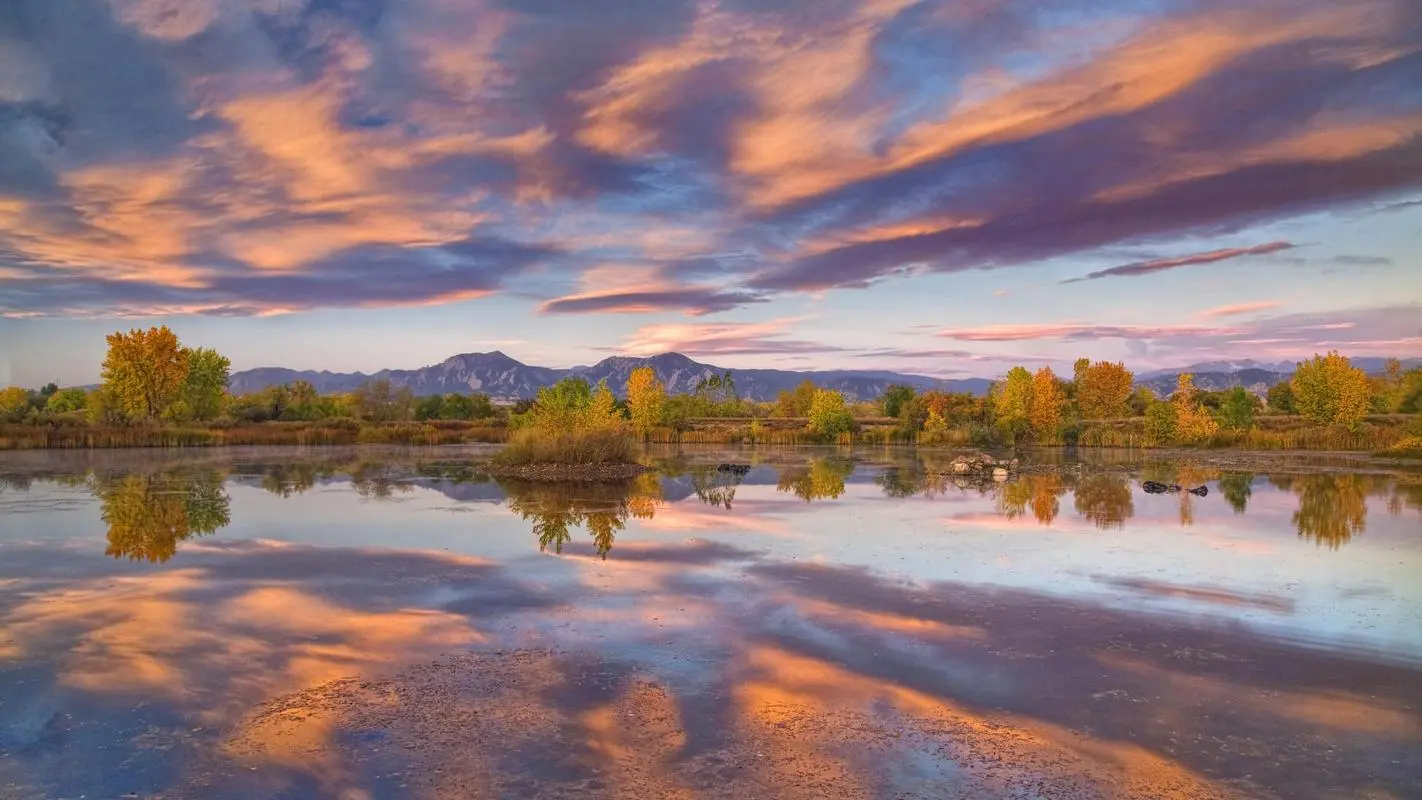 全自动绿色高性能
